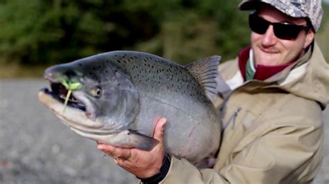 Salmon Catch 1xbet